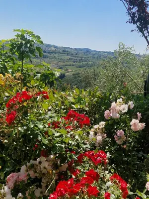 Paesaggio naturale nelle vicinanze dell'appartamento