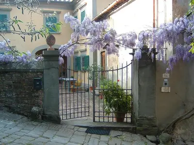 Planimetria di Borgo Ponte dell'Asse