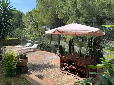 Giardino di Fontestanza - La Mimosa