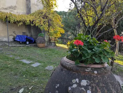Giardino di Fontestanza - La Mimosa
