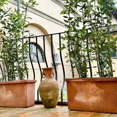La Terrazza di San Salvi