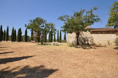 Giardino di Tenuta by PosarelliVillas