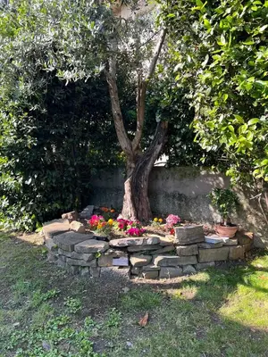 Giardino di Casa Oasi nel verde