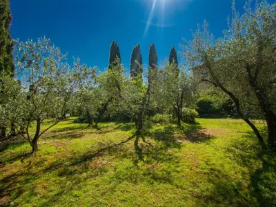 Giardino di Holiday Home Il Fienile by Interhome