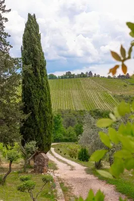 Paesaggio naturale nelle vicinanze dell'agriturismo