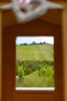 Planimetria di Agriturismo Montemagni di Sopra