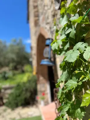 Giardino di Agriturismo Montemagni di Sopra