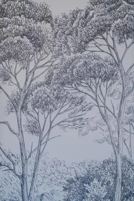 Paesaggio naturale nelle vicinanze dell'appartamento