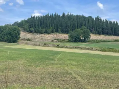 Paesaggio naturale nelle vicinanze dell'appartamento