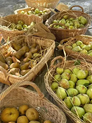 Cibo presso la villa o nelle vicinanze