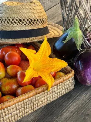 Cibo presso la villa o nelle vicinanze