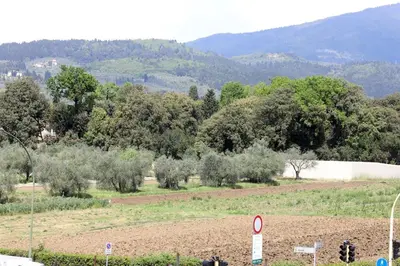 Paesaggio naturale nelle vicinanze dell'appartamento