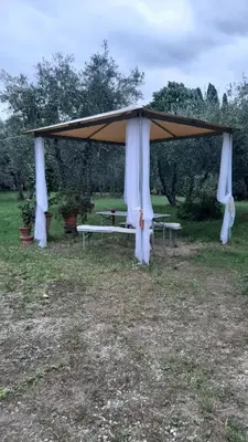 Giardino di Una casina nel verde a Firenze