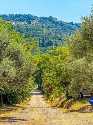 Paesaggio naturale nelle vicinanze del bed & breakfast