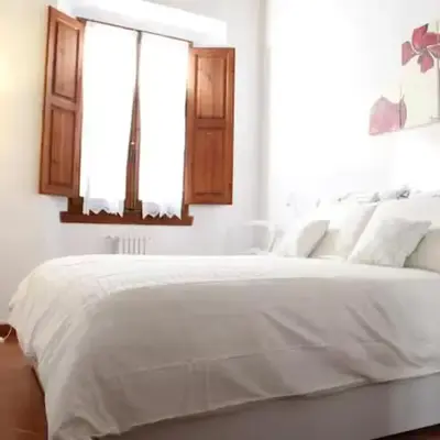 Apt S Maria near Boboli e Santo Spirito