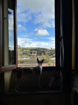 Ospiti di Sweet Home Sweet Wine con animali domestici