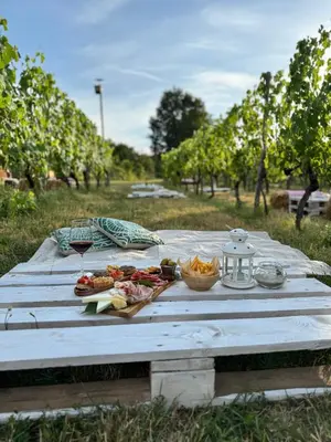 Bevande di Agriturismo Verde Vigna