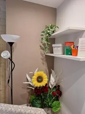 Planimetria di Le Petit Maison