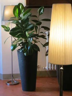 Planimetria di Toscanelli Residenza d'Epoca