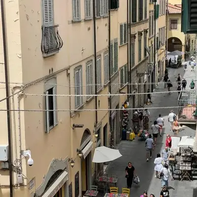 Faenza 8