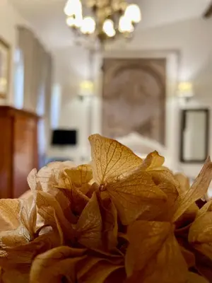 TV o dispositivi per l'intrattenimento presso Cestello Luxury Rooms