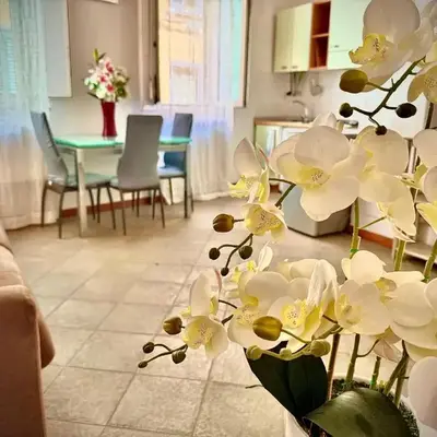 Santo Spirito Oltrearno central cozy flat