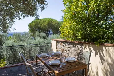 Planimetria di La Dolce Vita in Settignano