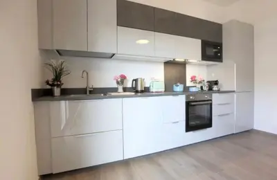 Cucina o angolo cottura di Magnificent apartment for 4 people