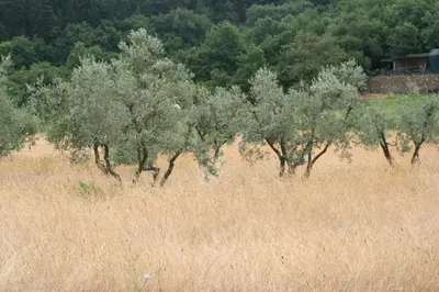 Paesaggio naturale nelle vicinanze della casa vacanze
