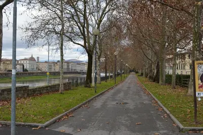 Il quartiere o una zona nella vicinanze dell'appartamento