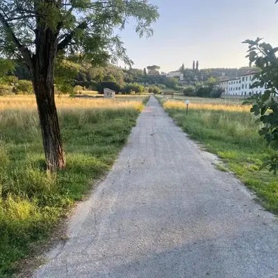 La camera nel verde
