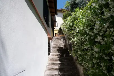 Planimetria di Detached house in a quiet area, close to the Settignano center