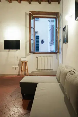 TV o dispositivi per l'intrattenimento presso Lovely, comfort and beauty near Ponte Vecchio