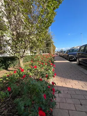 Giardino di Secret Garden Florence - Modern Apart ment near Center