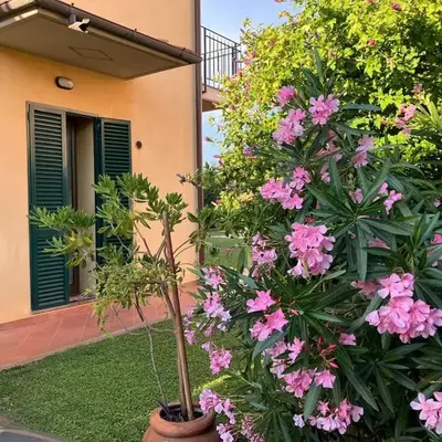 Tuscan Charm Spacious Florence Home