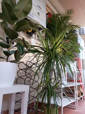 Planimetria di Fienile Paradiso Home Tuscany