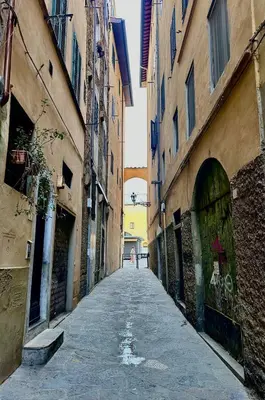 Il quartiere o una zona nella vicinanze dell'appartamento