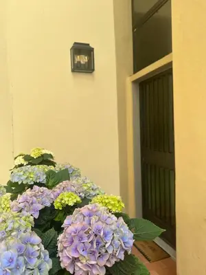 Planimetria di BLUE SUITE - Pitti Place Residence