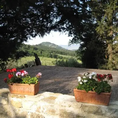 Fattoria il Leccio - Appartamento con terrazza
