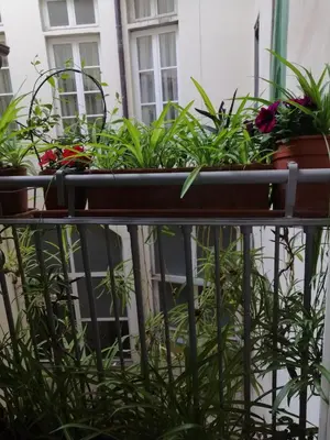 Balcone o terrazza di Florence Pitti Loft