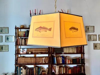 Biblioteca nell'appartamento