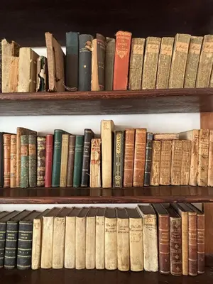 Biblioteca nell'appartamento