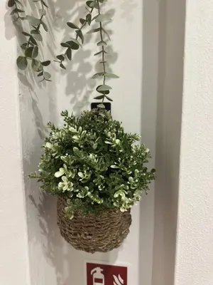 Planimetria di Niccolò Apartment-Florence Historic Center