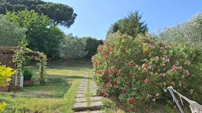 Giardino di Casa Gelso e Gelsomino
