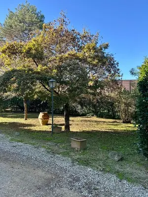 Giardino di Casa il Giglio