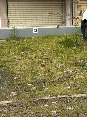 Giardino di Il Gelsomino Firenze