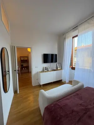 TV o dispositivi per l'intrattenimento presso Cozy apartment Firenze - con ascensore