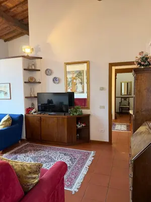 TV o dispositivi per l'intrattenimento presso Charming & relaxing apt in Florence