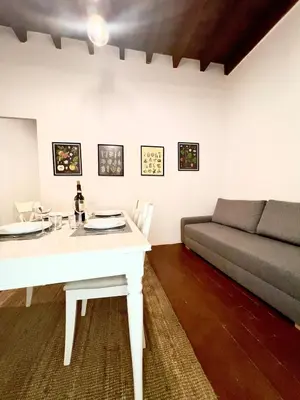 Area soggiorno di casa in centro a firenze WIFI AIR conditioning Netflix