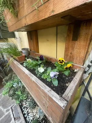 Giardino di BeB da Mena